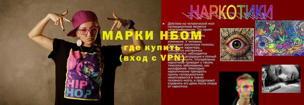 хмурый Арсеньев