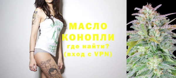 хмурый Арсеньев