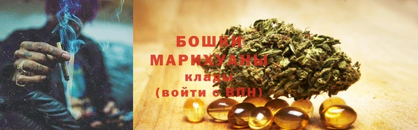ГАЛЛЮЦИНОГЕННЫЕ ГРИБЫ Аркадак