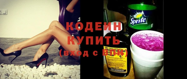 хмурый Арсеньев