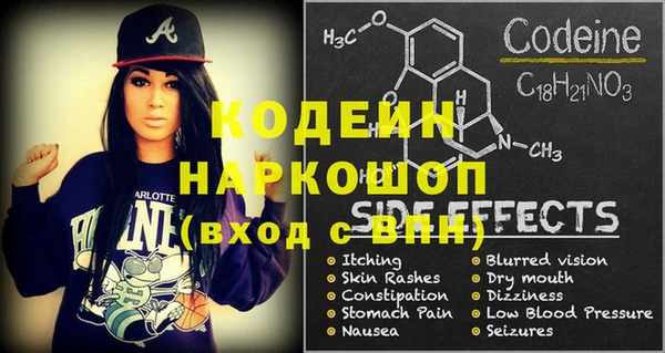 хмурый Арсеньев