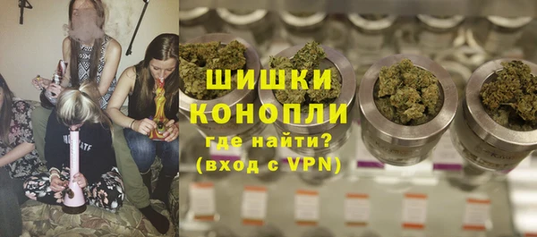 хмурый Арсеньев