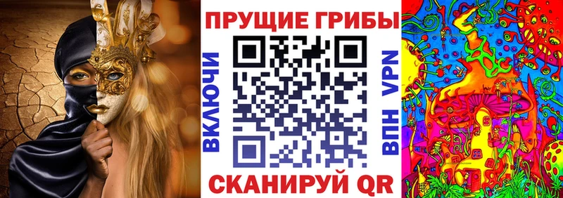 Псилоцибиновые грибы ЛСД  Купить  Бахчисарай 